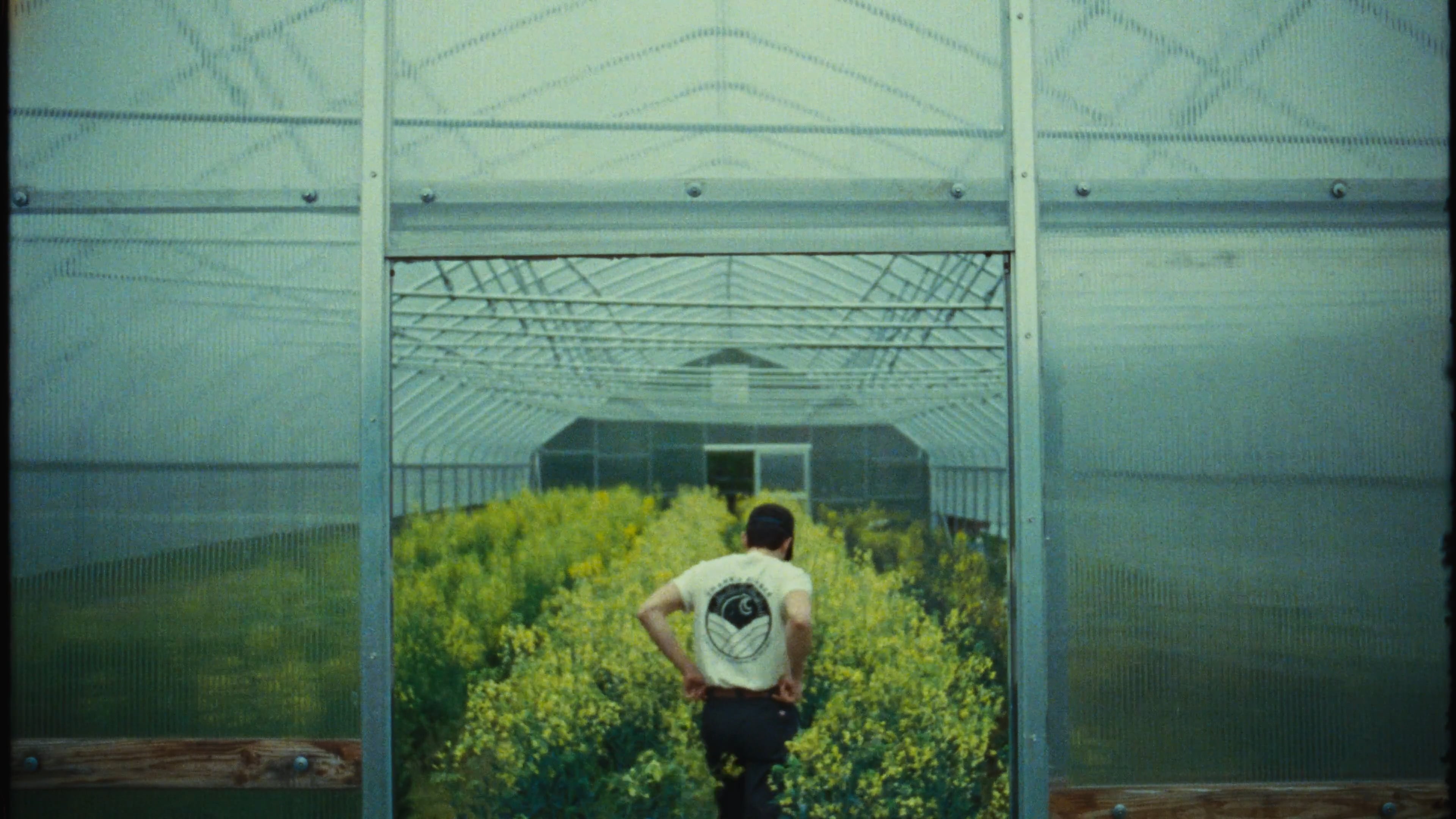 BLUEHOUR, project: Thank A Farmer (thumbnail)